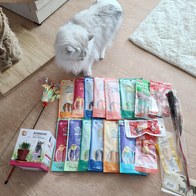 Ʈ īī սƽ ݺؾ ̿ ı