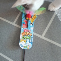 Ʈ īī սƽ ݺؾ ̿ ı