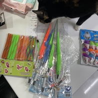 Ʈ īī սƽ ݺؾ ̿ ı