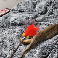 Ʈ īī սƽ ݺؾ ̿ ı