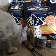 Ʈ īī սƽ ݺؾ ̿ ı