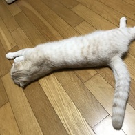 Ʈ īī غ  Ÿ ̿ ı