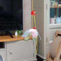 Ʈ īī غ  Ÿ ̿ ı