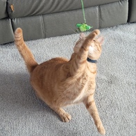 Ʈ غ ̾ õũ ô ̿ ı