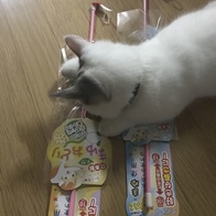 Ʈ õũ ô ̹ ̿ ı