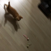 Ʈ õũ ô  ̿ ı