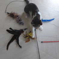 ���߷� Ĺ���� 2�� ���ô� ťƼ�� �̿� �ı�