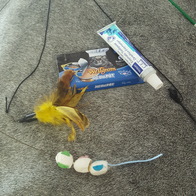 ���߷� Ĺ���� 2�� ���ô� ťƼ�� �̿� �ı�