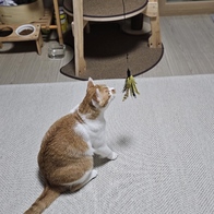 ���߷� Ĺ���� 2�� ���ô� ťƼ�� �̿� �ı�