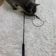 ���߷� Ĺ���� 2�� ���ô� ťƼ�� �̿� �ı�