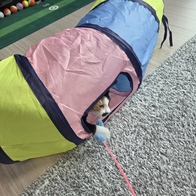 ���� ����Ĺ �Ĵٴ� 1�� ���󷣴� �̿� �ı�