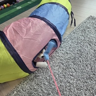 ���� ����Ĺ �Ĵٴ� 1�� ���󷣴� �̿� �ı�