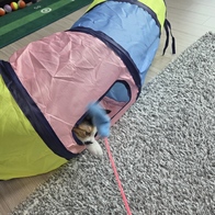 ���� ����Ĺ �Ĵٴ� 1�� ���󷣴� �̿� �ı�