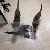 Ĺ Ĵٴ 1 󷣴 ̿ ı