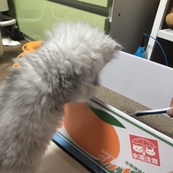ɺڽ ũ  ̿ ı