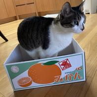 ɺڽ ũ  ̿ ı