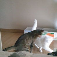 ɺڽ ũ  ̿ ı