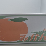 ɺڽ ũ  ̿ ı