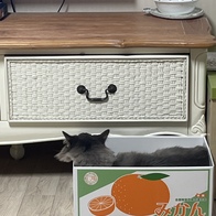 ɺڽ ũ  ̿ ı