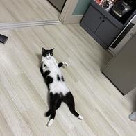 ɺڽ ũ  ̿ ı
