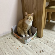 ɺڽ ũ  ̿ ı