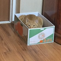 ɺڽ ũ  ̿ ı
