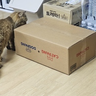 ���߷��߶��� Ĺ �����̻�� ��Ʈ�� �����̾� ���Ķ� ��&���� 6.8kg �̿� �ı�