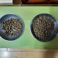 ���߷��߶��� Ĺ �����̻�� �ε��� ���Ķ� 6.81kg �̿� �ı�