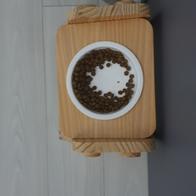 ���߷��߶��� Ĺ �����̻�� �ε��� ���Ķ� 6.81kg �̿� �ı�