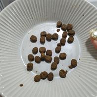 ���߷��߶��� Ĺ �����̻�� �ε��� ���Ķ� 6.81kg �̿� �ı�