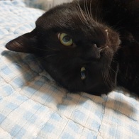 �̳��� í�� �� �߰�����&��¡�� 4���� �̿� �ı�