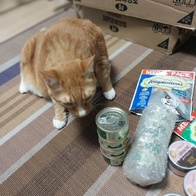 ̾ Ĺ丮 ĵ ġ& 80g ̿ ı