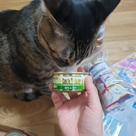 ̾ Ĺ丮 ĵ ġ& 80g ̿ ı