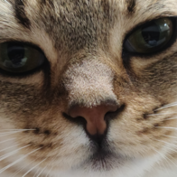 ̾ Ĺ丮 ĵ ġ& 80g ̿ ı