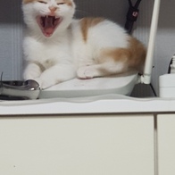  κθ  3kg 7L x 6 ̿ ı