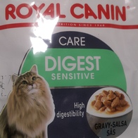 ξĳ Ƽ ɾ ׷̺ Ŀġ 85g ̿ ı