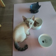 �ξ�ĳ�� Űư �׷��̺� �Ŀ�ġ 85g �̿� �ı�