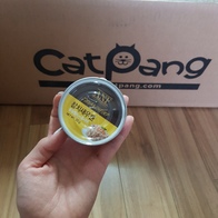 ANF ĹǪ ĵ ġ& 95g ̿ ı