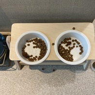 ���߷��߶��� Ĺ �����̻�� �ε��� ���Ķ� 6.81kg �̿� �ı�