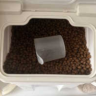 ���߷��߶��� Ĺ �����̻�� ��Ʈ�� �����̾� ���Ķ� ��&���� 6.8kg �̿� �ı�