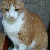 ĭ Ĺ  ׷ ս ôϾ 6.5kg ̿ ı
