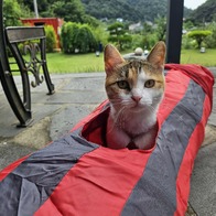 ����Ÿ�� õ����ũ ������ ���� �峭�� 1�� ���󷣴� �̿� �ı�