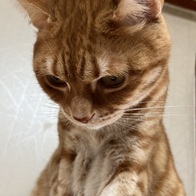 Ÿ ϳ õũ  ô ̿ ı