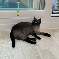 ����Ÿ�� ��ܶ�� �������� ������ �̿� �ı�