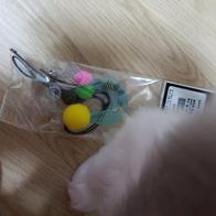 ����Ÿ�� ��ܶ�� �������� ������ �̿� �ı�