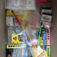 ����Ÿ�� ��ܶ�� �������� ������ �̿� �ı�