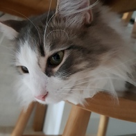 ����Ÿ�� ��ܶ�� �������� ������ �̿� �ı�