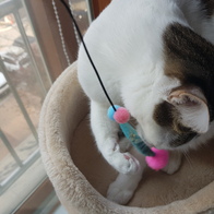 ����Ÿ�� ��ܶ�� �������� ������ �̿� �ı�