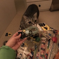 ����Ÿ�� ��ܶ�� �������� ������ �̿� �ı�