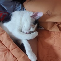 ����Ÿ�� ��ܶ�� �������� ������ �̿� �ı�